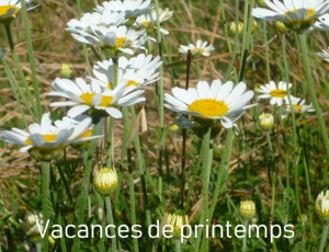 Quelles sandales pour vos vacances ?