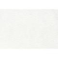 grain_blanc_899389872